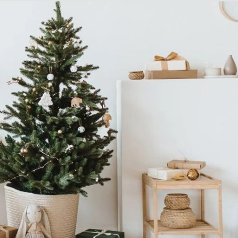 Tiny Homes – Holiday Minimalism