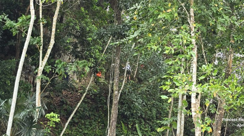 11-Friends-Up-the-Wall-835x467