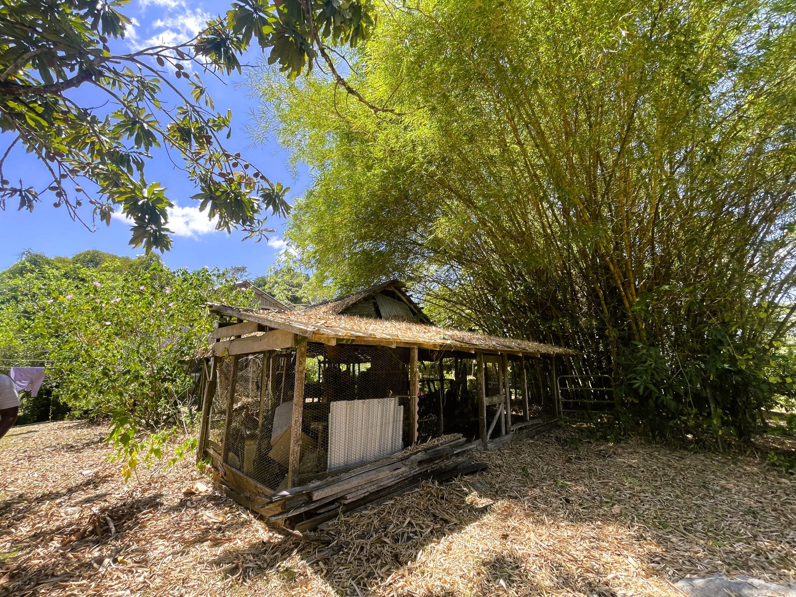 The Coop at the Guest House