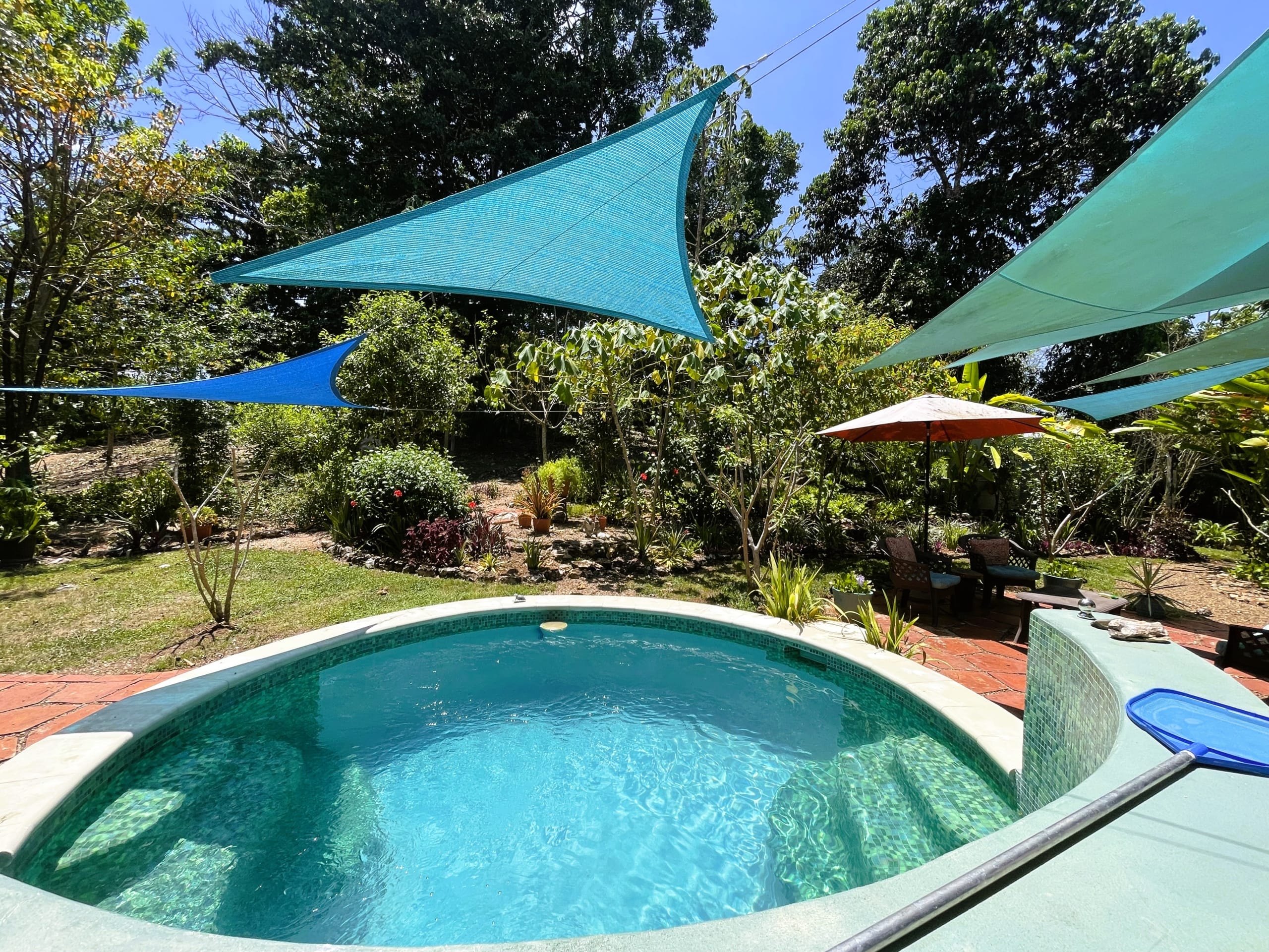 The Plunge Pool