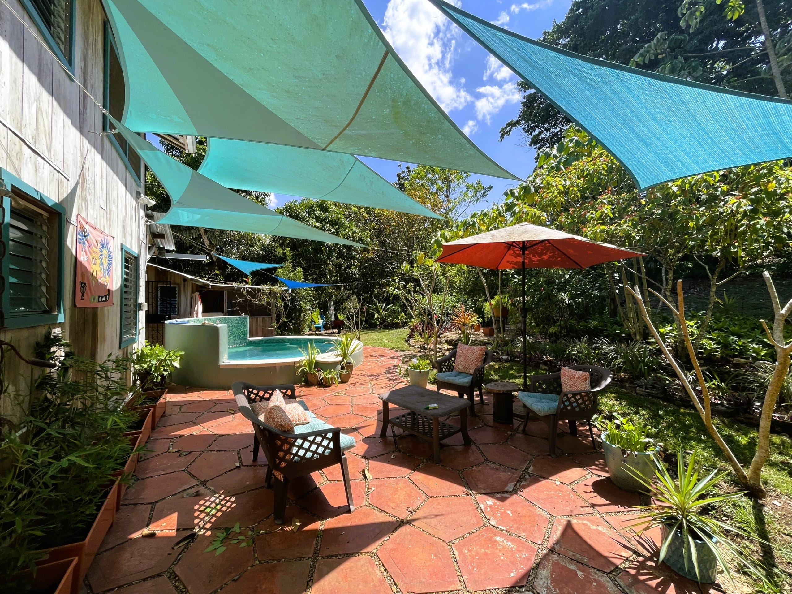 The Backyard
